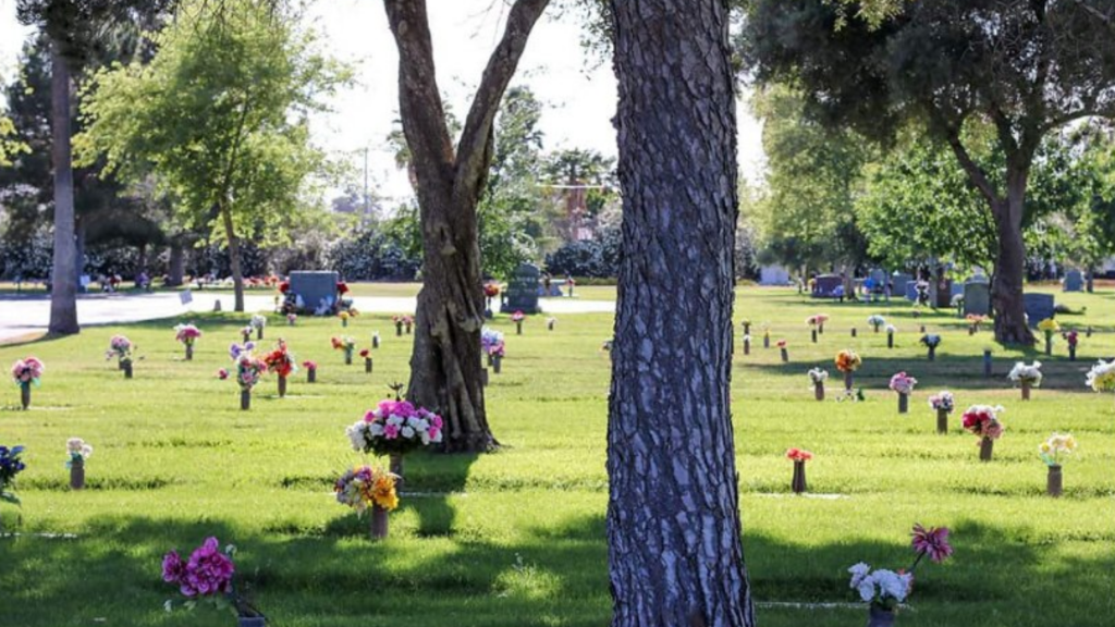 Funeral homes overwhelmed with COVID19 deathrelated memorials